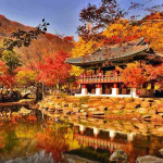 Mùa thu Hàn Quốc quyến rũ, làm khách du lịch say đắm