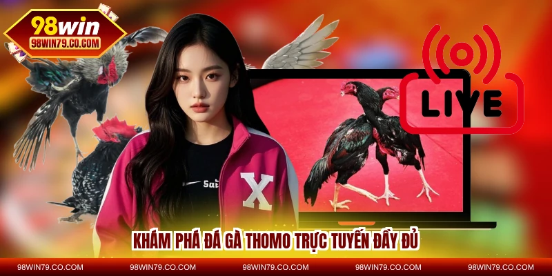 Khám phá đá gà Thomo trực tuyến đầy đủ